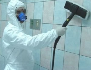 DESINFECCIONES DE CARROS, DESINFECCIONES DE CARROS DF, DESINFECCIONES DE CARROS CDMX